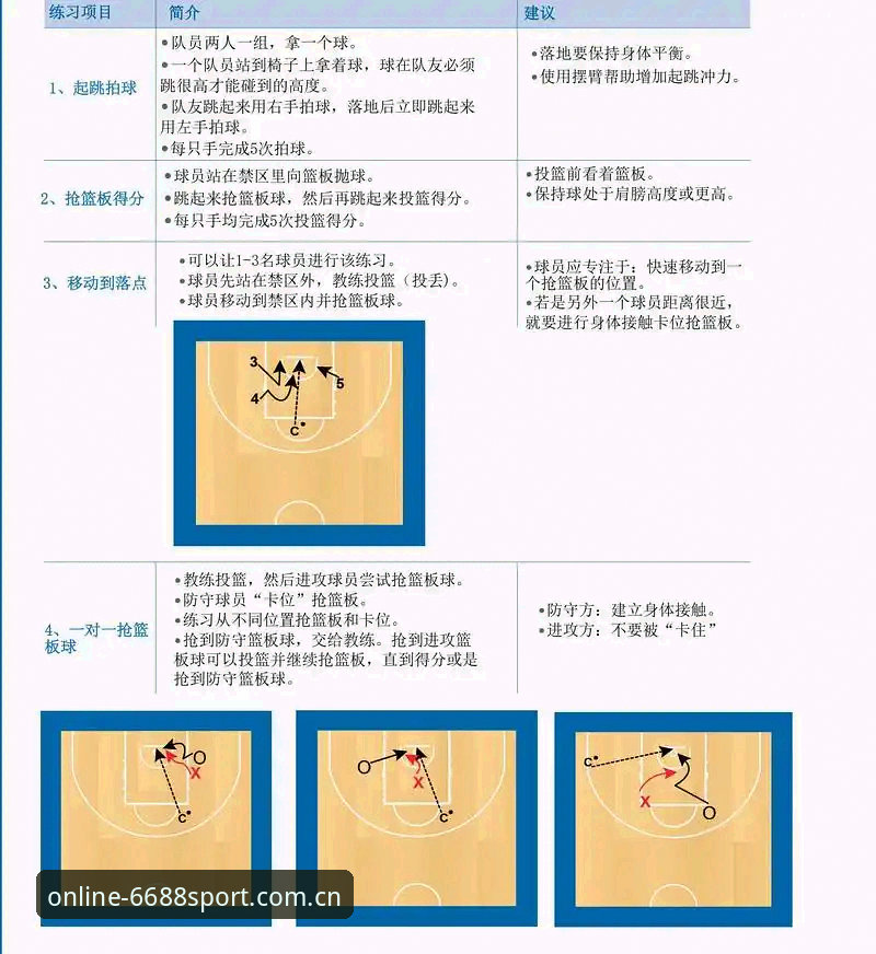 体育数据查询实战指南：从入门到高效操作详解